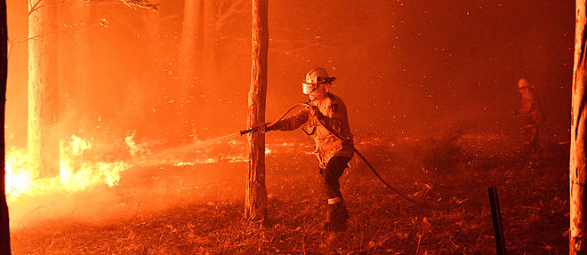 Des incendies ont ravage l'Australie de septembre 2019 a fevrier 2020. (illustration)
