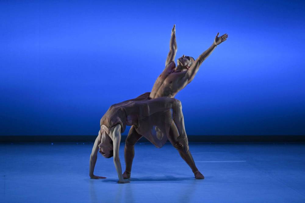 danse, spectacle, ballet ©  ©Olivier Houeix