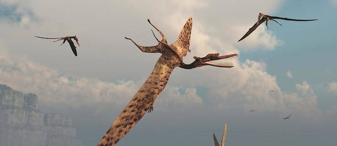 Le pterosaure est un reptile volant dont l'envergure pouvait atteindre 5 metres (illustration).
