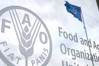 Selon la FAO et le PAM, la famine menace certains&nbsp;pays d'Afrique
