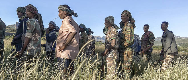 Depuis le 4 novembre, le gouvernement ethiopien mene des operations militaires contre le Front de liberation du peuple du Tigre (TPLF), parti au pouvoir dans la region la plus septentrionale d'Ethiopie. 
