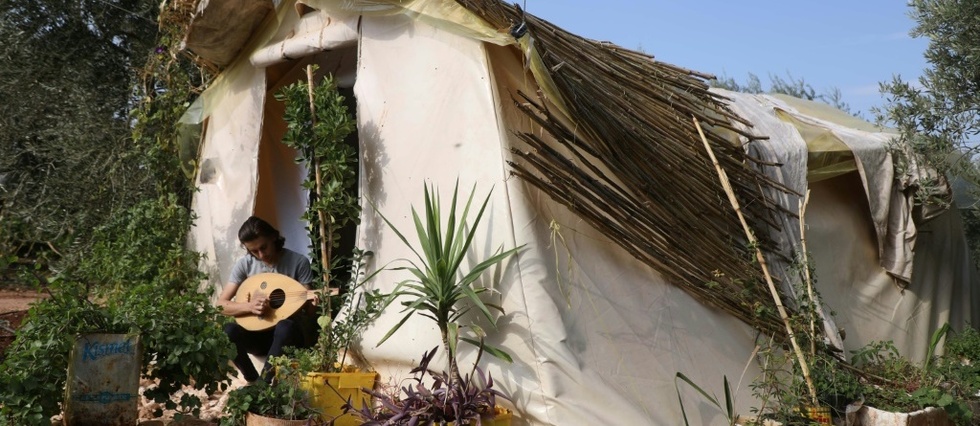 Plantes et bibliotheque: sous sa tente, un deplace syrien reinvente sa maison perdue