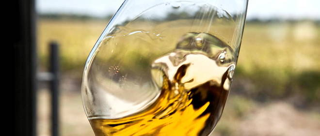 Un vin est moelleux avec une concentration en sucre entre 12 et 45 g/litre. Au-dela, il est liquoreux.
