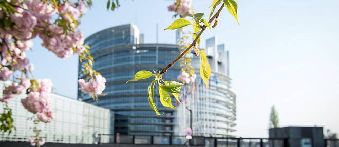 Le Parlement europeen, a Strasbourg, le 8 avril 2020.
