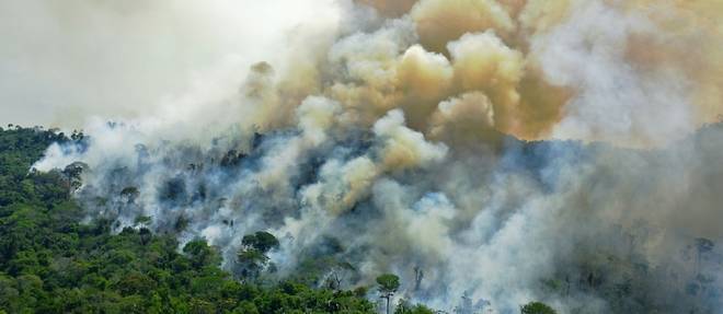 La deforestation en Amazonie bresilienne au plus haut depuis 12 ans