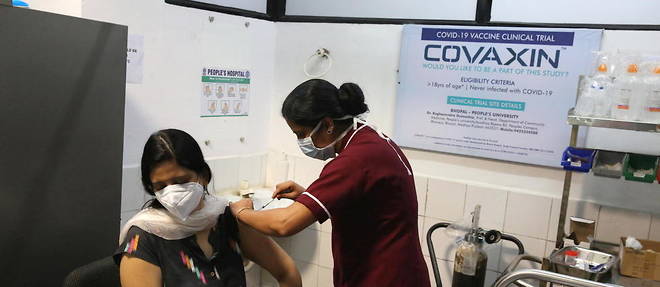 Volontaire recevant une dose de Covaxin a Bhopal, le 7 decembre.  

