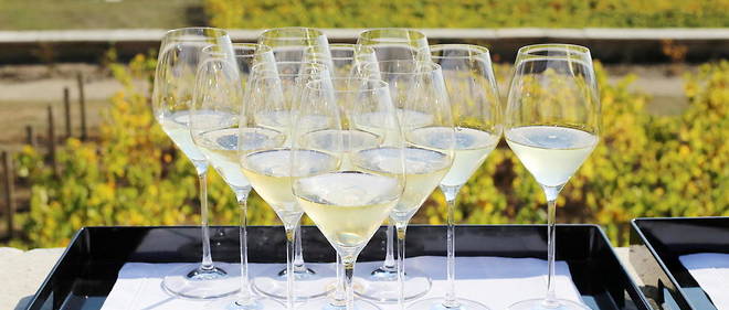 Les oenologues font << Le Point >> : pourquoi la plupart des champagnes n'ont pas de millesime ?
