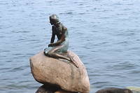 La statue de la petite sirène à Copenhague a perdu ses touristes.
