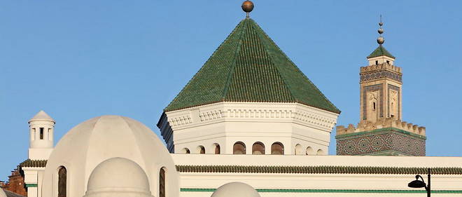 Chems-Eddine Hafiz, le recteur de la grande mosquee de Paris, a annonce lundi se retirer du projet de Conseil national des imams.
