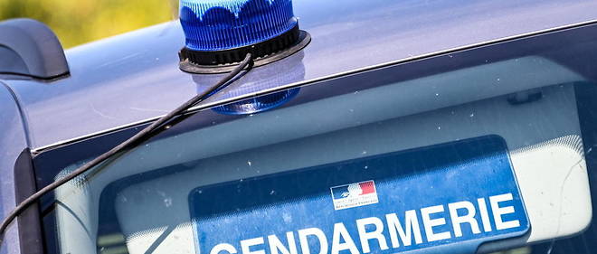 Les gendarmes ont mene une dizaine d'interpellations simultanees contre des militants d'Ultime Liberte, apres que le trafic de barbituriques a ete demantele en 2019 (illustration).
