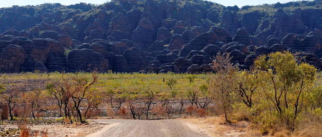 Australie Un Homme Retrouve Vivant Apres 18 Jours Dans Le Bush Le Point