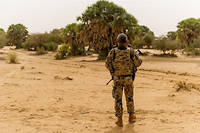 Golfe de Guin&eacute;e : attention &agrave;&nbsp;Al-Qa&iuml;da au Sahel !
