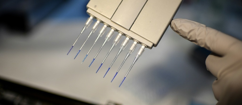 Covid Les Premiers Resultats Sur Les Variants En Ile De France Ne Sont Pas Bons Le Point