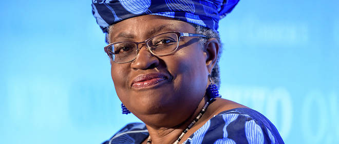 Parcours extraordinaire que celui de Ngozi Okonjo-Iweala, du Biafra, a l'Organisation mondiale du commerce, en passant par les ministeres nigerians des Finances et des Affaires etrangeres et par la Banque mondiale. 
