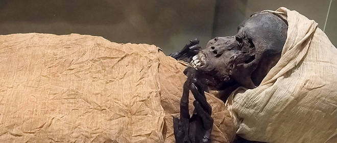 Des scientifiques egyptiens ont etabli que le pharaon Seqenenre Taa II etait mort au combat apres avoir passe aux rayons X sa momie vieille de plus de 3 600 ans. 
