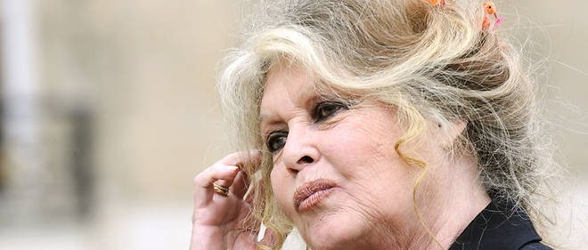 Brigitte Bardot souhaite obtenir une aide financiere de la part du gouvernement pour sa fondation, qui recueille les animaux abandonnes et qui voit arriver de plus en plus d'animaux de ferme.
