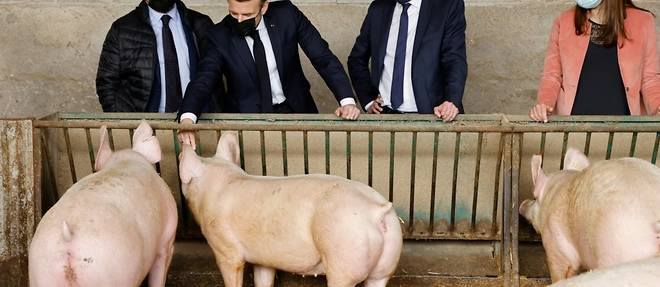 Macron veut que les agriculteurs soient payes au juste prix