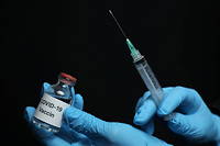 Une vingtaine de personnes vont être vaccinées en France dimanche 27 décembre. (illustration)
