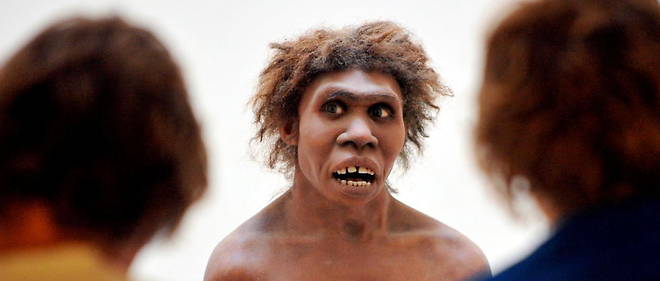 L'homme de Neandertal a disparu il y a environ 40 000 ans  (illustration).
