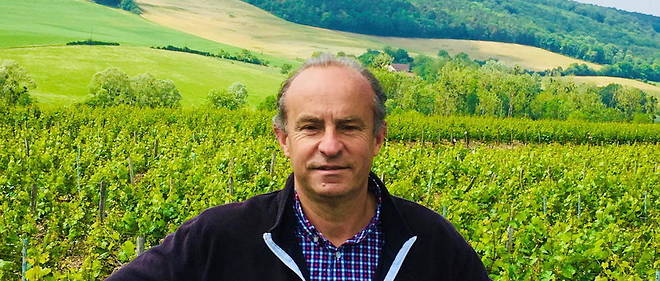Jean-Manuel Jacquinot, oenologue de la region Champagne et vigneron
