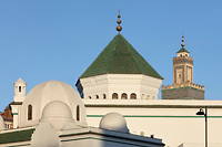 Chems-Eddine Hafiz, le recteur de la grande mosquée de Paris, a annoncé lundi se retirer du projet de Conseil national des imams.
