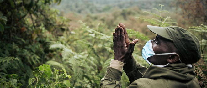 Pour preserver le bassin du Congo, des rangers assurent une surveillance de tous les instants. 
