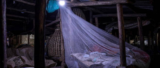Grace aux mesures preventives mises en place, notamment les moustiquaires et certains comprimes, ainsi que les dernieres avancees en matiere de vaccination antipaludeenne, le paludisme s'inscrit sur une pente descendante.
