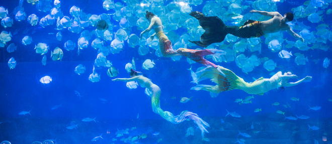 Le « mermaiding » est en pleine expansion en Chine.
