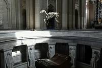 Le squelette du cheval de Napol&eacute;on au-dessus de son tombeau suscite la pol&eacute;mique