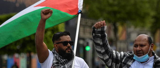 Des manifestants pro-Palestine a Dublin (illustration). 
