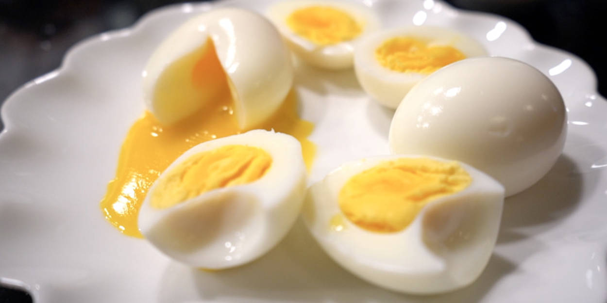 Astuces et recettes pour cuisiner les œufs