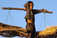 Covid-19&nbsp;: le travail des enfants s&rsquo;est intensifi&eacute; dans les pays pauvres