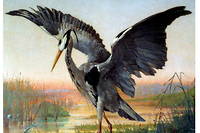  Le Heron  (livre VII, fable 4). Aquarelle de Louis Emile Villa, XIX e  siecle.
