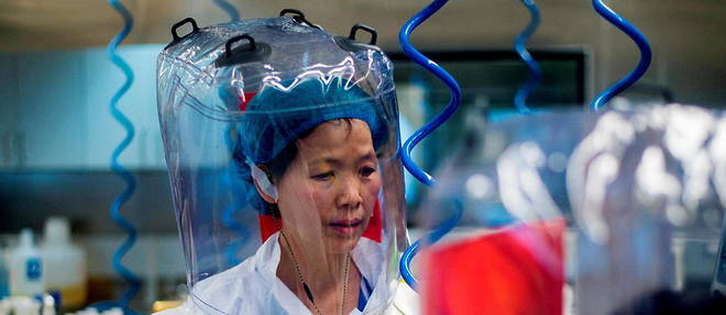 La virologue chinoise Shi Zhengli, specialiste mondiale des coronavirus de chauve-souris, dans le laboratoire P4 de Wuhan en 2017.
