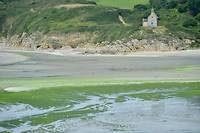Bretagne: la justice ordonne &agrave; l'Etat de renforcer la lutte contre les mar&eacute;es vertes