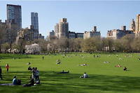 Covid-19&nbsp;: New York pr&eacute;voit un concert g&eacute;ant en ao&ucirc;t &agrave; Central Park