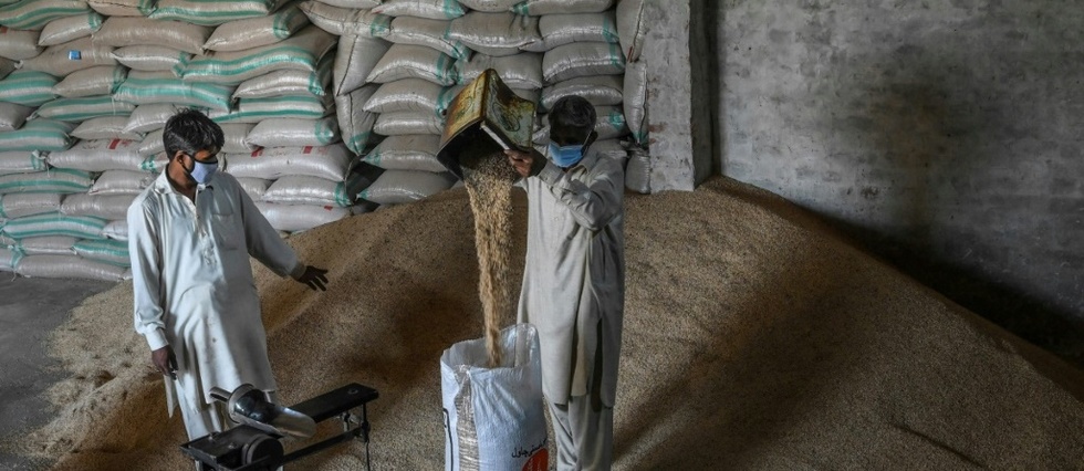 Le riz basmati seme a nouveau la discorde entre l'Inde et le Pakistan