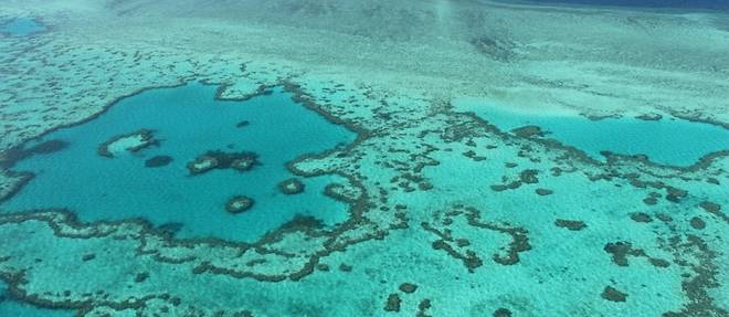 Grande Barriere de corail "en danger" pour l'Unesco, l'Australie prete a contester