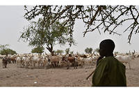 Le Sahel au confluent d&rsquo;une&nbsp;double crise pastorale et s&eacute;curitaire