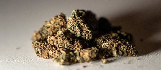 Les produits a base de CBD vendus par le couple de fleuristes contenaient moins de 0,2% de THC, la substance psychotrope du cannabis.
