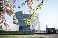 Le Parlement européen, à Strasbourg, le 8 avril 2020.
