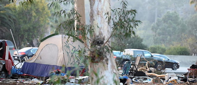 Un campement de sans-abri le long d'une autoroute a Hollywood, en novembre 2020. 
