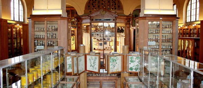 Le musee Francois-Tillequin, une institution qui permet de faire un tour du monde des plantes medicinales.

