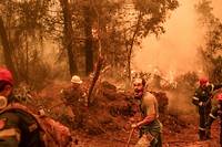 Incendies en Gr&egrave;ce et en Turquie: panorama apocalyptique sur l'&icirc;le grecque d'Eub&eacute;e