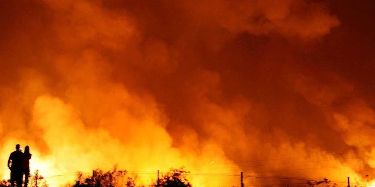 Incendies en Algérie : au moins 65 morts, selon le dernier bilan - Le Point
