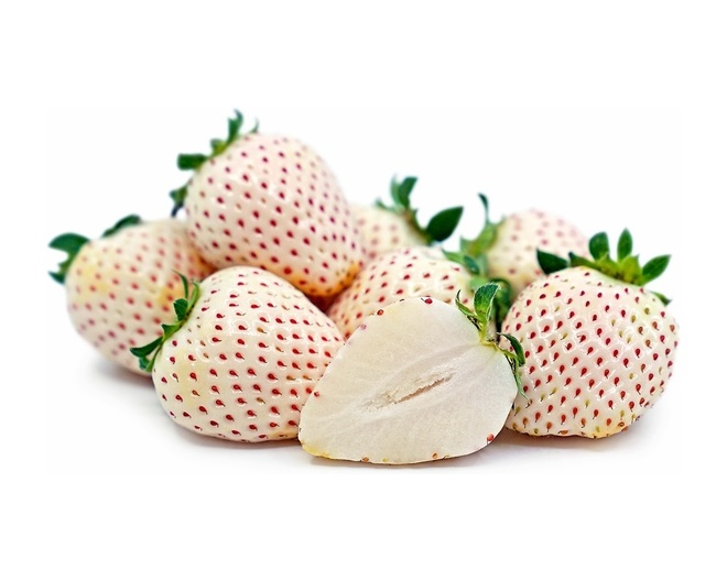 Les origines des fruits de l'été – La guerre des fraises