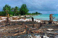Vue partielle de l'ancienne zone de vie de l'atoll de Mururoa, prise le 6 juin 2000, quatre ans après l'arrêt définitif des essais nucléaires français en Polynésie française. C'est sur le site voisin de Fangataufa qu'a eu lieu le premier essai français de bombe H, baptisé opération Canopus.
