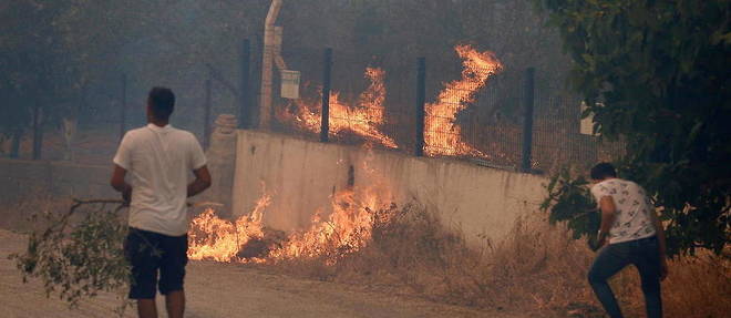 Des habitants tentent de lutter contre les incendies a Manavgat, dans la province d'Antalya, en Turquie, le 11 aout 2021. 
