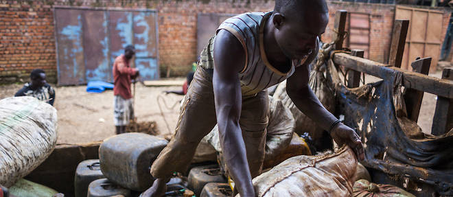La RDC comptait parmi les pays les plus industrialises d'Afrique subsaharienne a son accession a l'independance en 1960.
La RDC comptait parmi les pays les plus industrialises d'Afrique subsaharienne a son accession a l'independance en 1960.