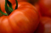 Les origines des fruits de l&rsquo;&eacute;t&eacute; &ndash; La tomate qui se prend pour un l&eacute;gume